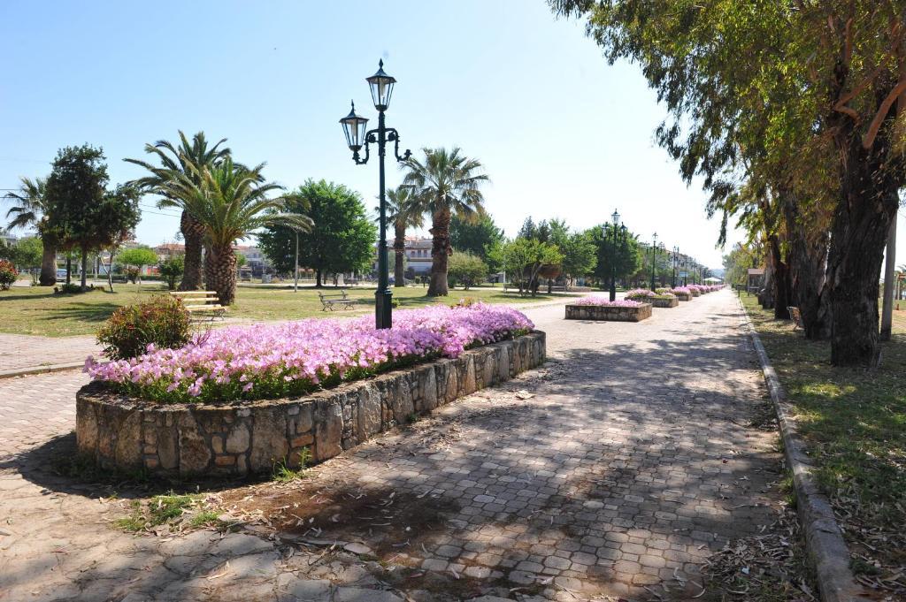 Hotel Eleni Paralia Dionisiou Extérieur photo